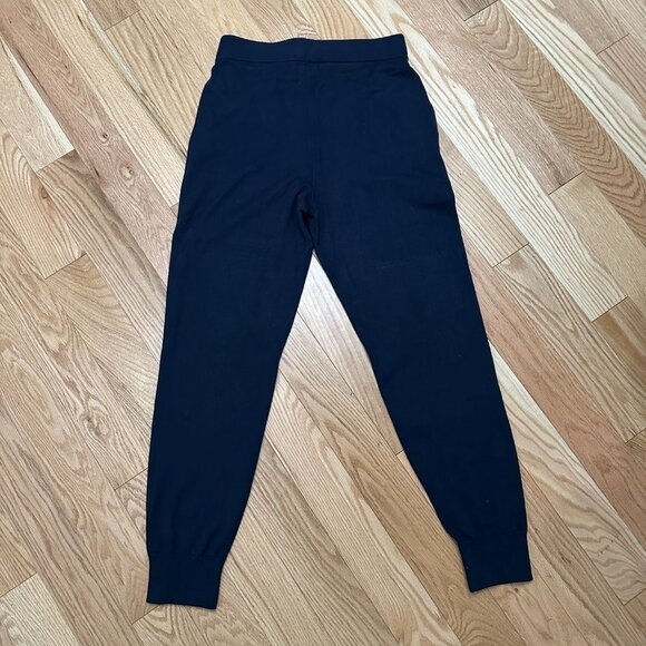 Babaton Rodin Jogger - Size MED - Sky Captain - Picture 3 of 9